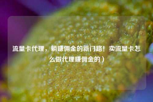 流量卡代理,躺赚佣金的新门路!卖流量卡怎么做代理赚佣金的)
