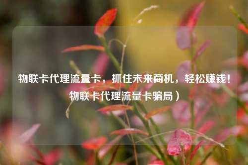 物联卡代理流量卡,抓住未来商机,轻松赚钱!物联卡代理流量卡骗局)
