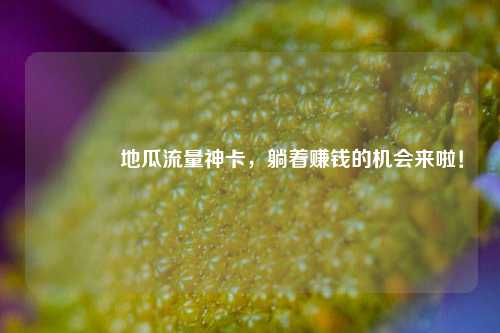 🌟地瓜流量神卡,躺着赚钱的机会来啦!