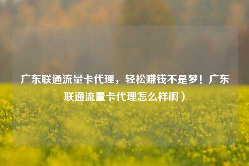 广东联通流量卡代理,轻松赚钱不是梦!广东联通流量卡代理怎么样啊)