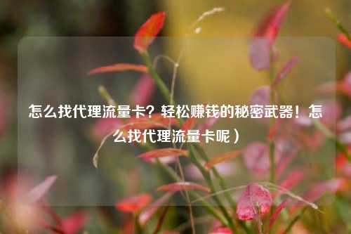 怎么找代理流量卡?轻松赚钱的秘密武器!怎么找代理流量卡呢)