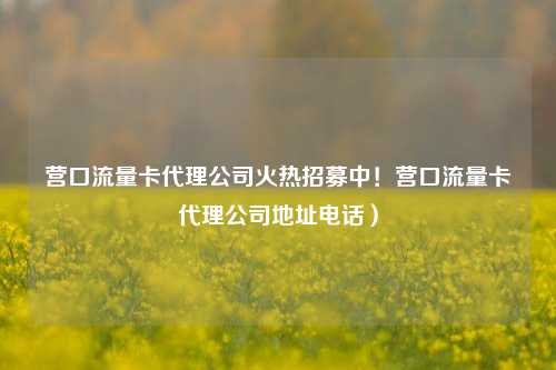 营口流量卡代理公司火热招募中!营口流量卡代理公司地址电话)