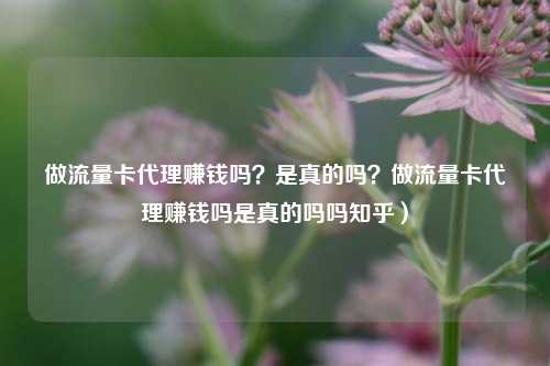 做流量卡代理赚钱吗?是真的吗?做流量卡代理赚钱吗是真的吗吗知乎)