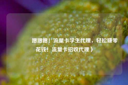 🚀蹭蹭蹭!流量卡学生代理,轻松赚零花钱!流量卡招收代理)