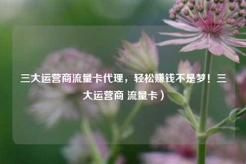 三大运营商流量卡代理,轻松赚钱不是梦!三大运营商 流量卡)