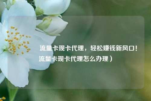 🚀流量卡现卡代理,轻松赚钱新风口!流量卡现卡代理怎么办理)