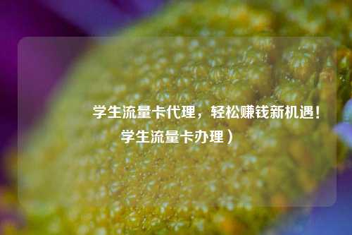 🚀学生流量卡代理，轻松赚钱新机遇！学生流量卡办理）