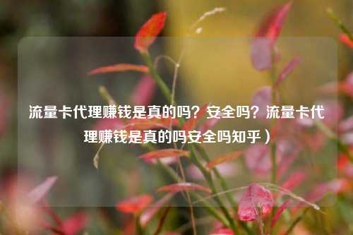 流量卡代理赚钱是真的吗？安全吗？流量卡代理赚钱是真的吗安全吗知乎）