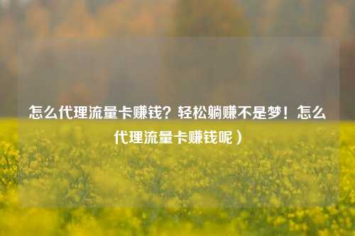 怎么代理流量卡赚钱？轻松躺赚不是梦！怎么代理流量卡赚钱呢）