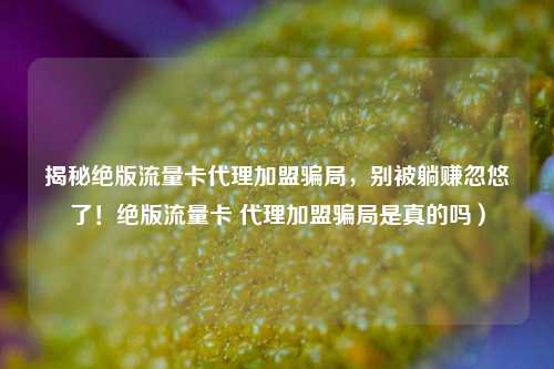 揭秘绝版流量卡代理加盟骗局,别被躺赚忽悠了!绝版流量卡 代理加盟骗局是真的吗)