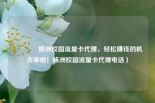 🚀株洲校园流量卡代理,轻松赚钱的机会来啦!株洲校园流量卡代理电话)