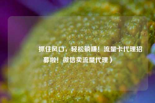 🚀抓住风口,轻松躺赚!流量卡代理招募啦!微信卖流量代理)
