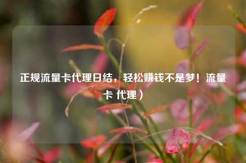 正规流量卡代理日结,轻松赚钱不是梦!流量卡 代理)