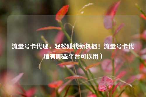 流量号卡代理,轻松赚钱新机遇!流量号卡代理有哪些平台可以用)
