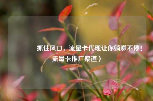🚀抓住风口，流量卡代理让你躺赚不停！流量卡推广渠道）
