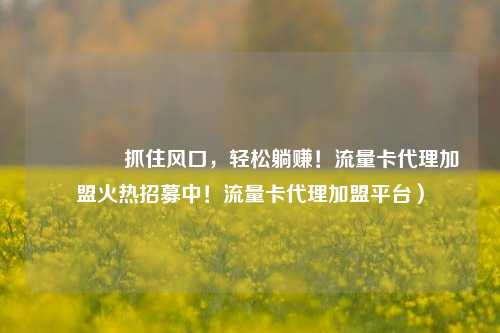 🚀抓住风口,轻松躺赚!流量卡代理加盟火热招募中!流量卡代理加盟平台)