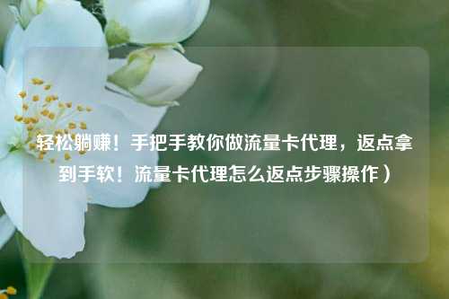 轻松躺赚!手把手教你做流量卡代理,返点拿到手软!流量卡代理怎么返点步骤操作)