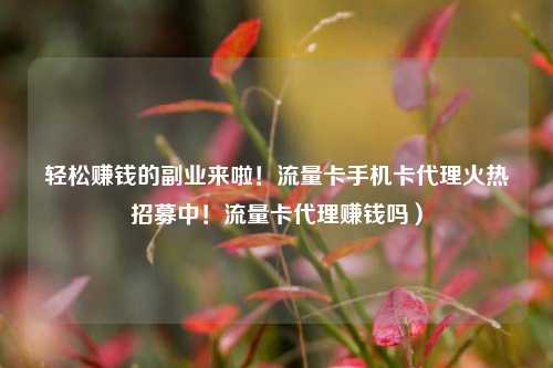 轻松赚钱的副业来啦！流量卡手机卡代理火热招募中！流量卡代理赚钱吗）