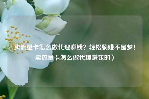 卖流量卡怎么做代理赚钱?轻松躺赚不是梦!卖流量卡怎么做代理赚钱的)