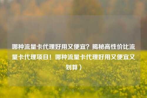 哪种流量卡代理好用又便宜?揭秘高性价比流量卡代理项目!哪种流量卡代理好用又便宜又划算)