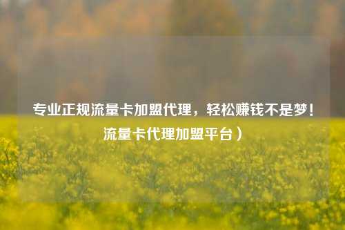 专业正规流量卡加盟代理,轻松赚钱不是梦!流量卡代理加盟平台)