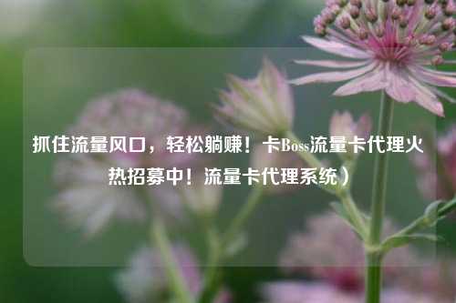抓住流量风口,轻松躺赚!卡Boss流量卡代理火热招募中!流量卡代理系统)