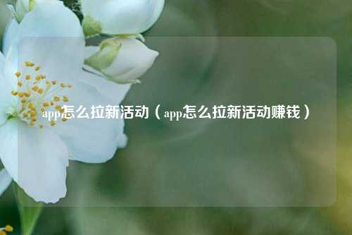 app怎么拉新活动(app怎么拉新活动赚钱)