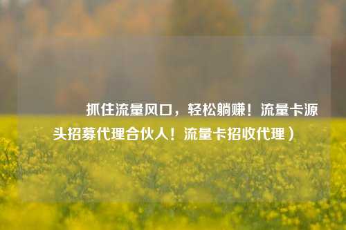 🚀抓住流量风口,轻松躺赚!流量卡源头招募代理合伙人!流量卡招收代理)