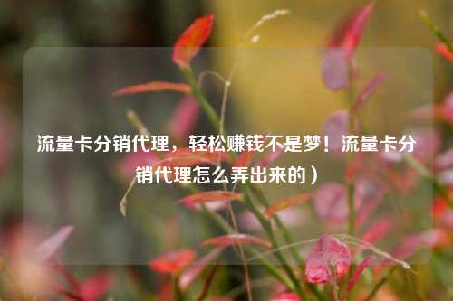 流量卡分销代理,轻松赚钱不是梦!流量卡分销代理怎么弄出来的)