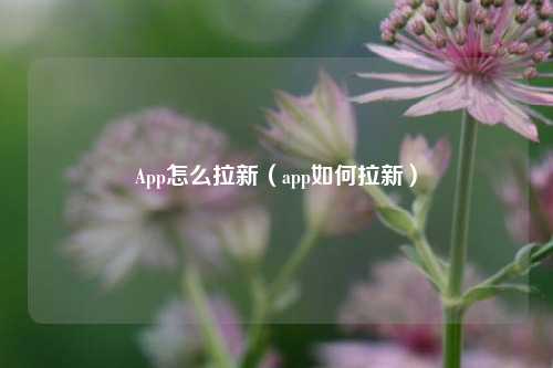 App怎么拉新（app如何拉新）
