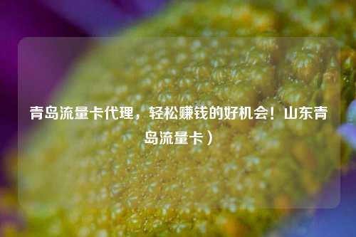 青岛流量卡代理，轻松赚钱的好机会！山东青岛流量卡）