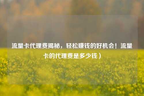 流量卡代理费揭秘,轻松赚钱的好机会!流量卡的代理费是多少钱)