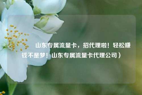 🚀山东专属流量卡,招代理啦!轻松赚钱不是梦!山东专属流量卡代理公司)