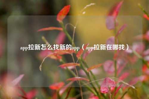 app拉新怎么找新的app(app拉新在哪找)