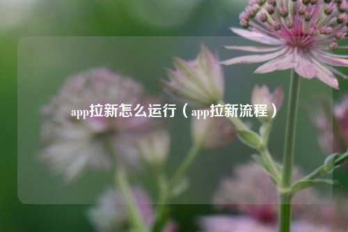 app拉新怎么运行(app拉新流程)