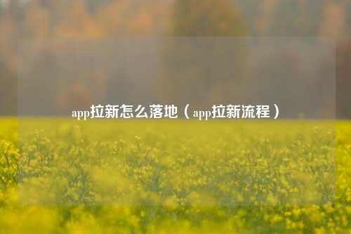 app拉新怎么落地(app拉新流程)