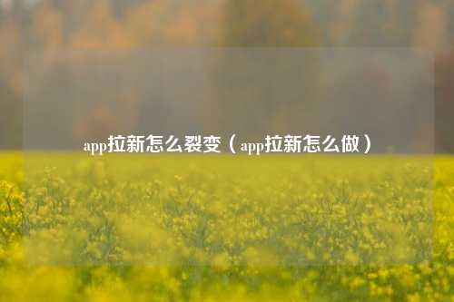 app拉新怎么裂变(app拉新怎么做)