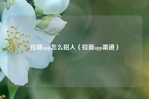 拉新app怎么招人（拉新app渠道）