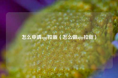 怎么申请app拉新(怎么做app拉新)