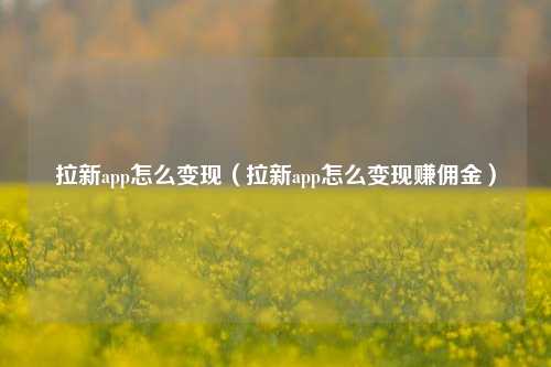拉新app怎么变现(拉新app怎么变现赚佣金)