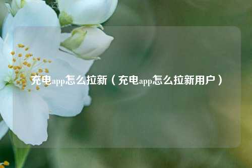 充电app怎么拉新（充电app怎么拉新用户）