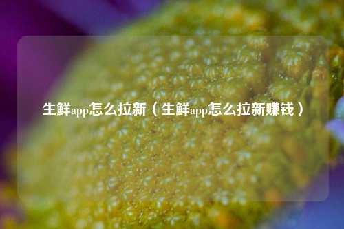生鲜app怎么拉新（生鲜app怎么拉新赚钱）