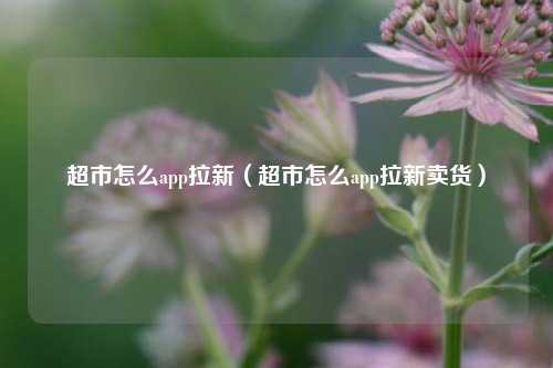 超市怎么app拉新（超市怎么app拉新卖货）