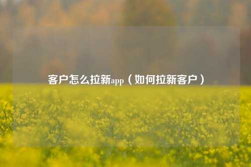 客户怎么拉新app(如何拉新客户)
