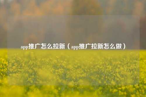 app推广怎么拉新(app推广拉新怎么做)