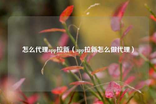 怎么代理app拉新（app拉新怎么做代理）