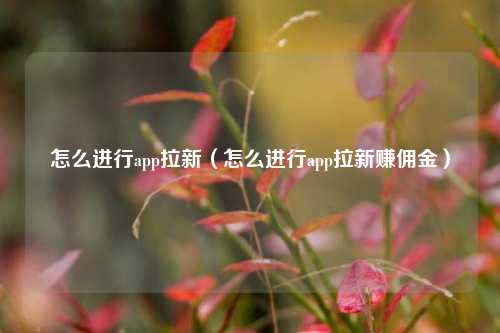 怎么进行app拉新(怎么进行app拉新赚佣金)