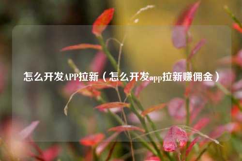 怎么开发APP拉新(怎么开发app拉新赚佣金)