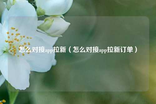怎么对接app拉新(怎么对接app拉新订单)
