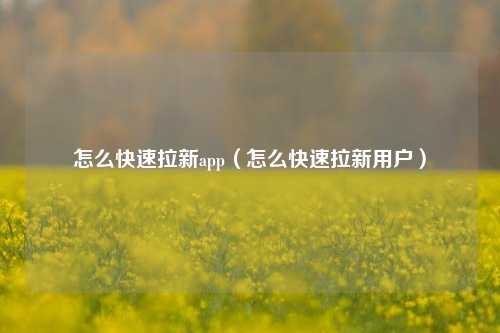 怎么快速拉新app(怎么快速拉新用户)